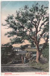 xBFerry1006