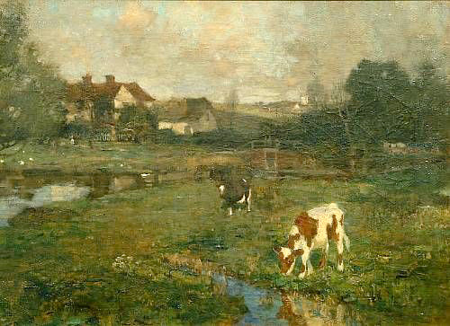 Calves_Watering
