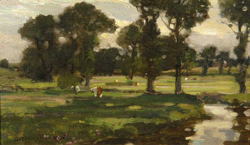Meadow