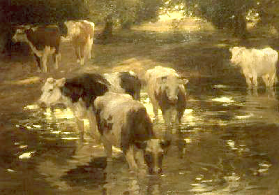 TheWateringSpot