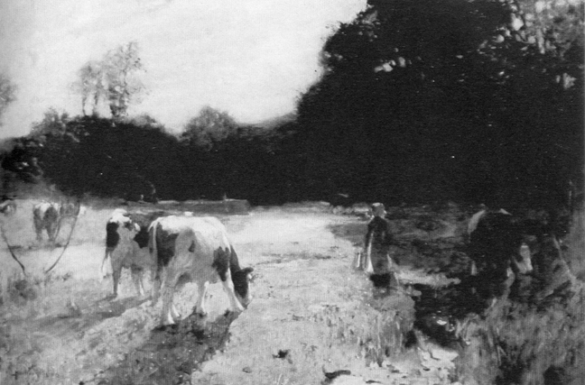zCattle_grazing