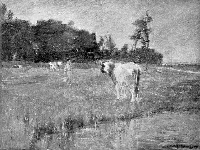 zMeadowlands