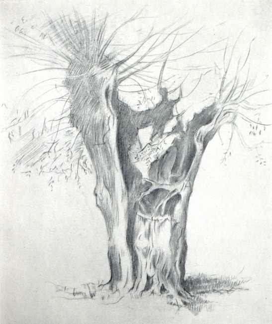 zPencil_sketch4