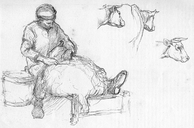 zSketches