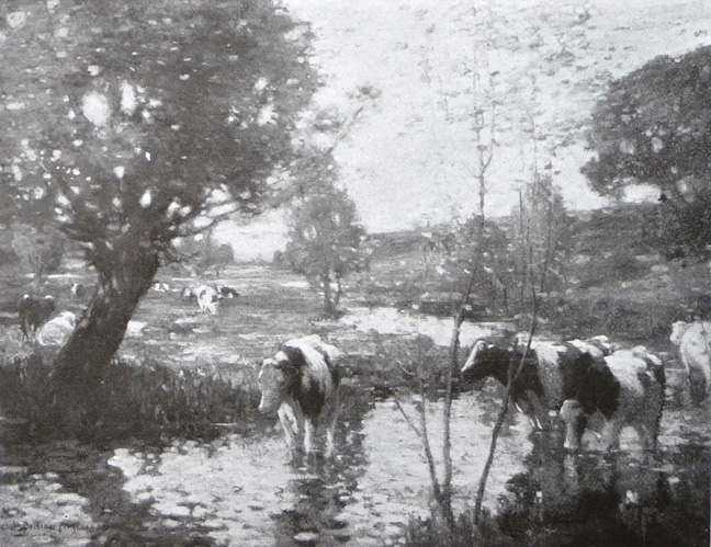zThe_meadow_stream