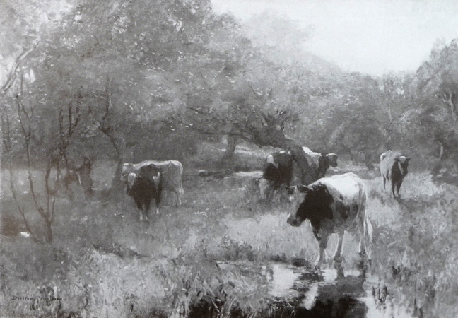 zvalley_pastures