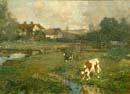 Calves_Watering
