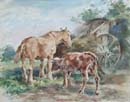 Horse_and_Calf