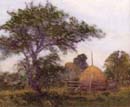 Picture_71
