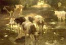 TheWateringSpot