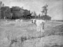 zMeadowlands