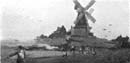 zPicture_105