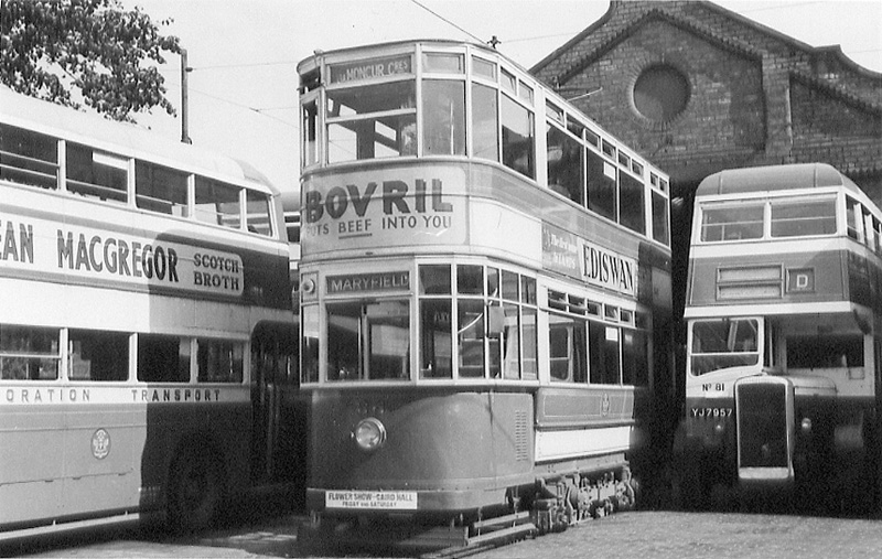 Buses & Tram at Maryf#1D508