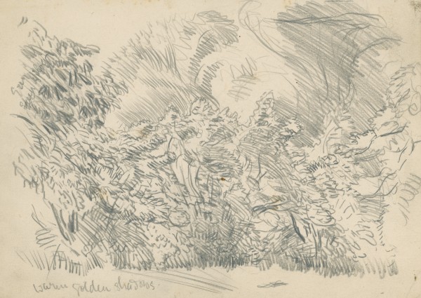 Compositional study #196054