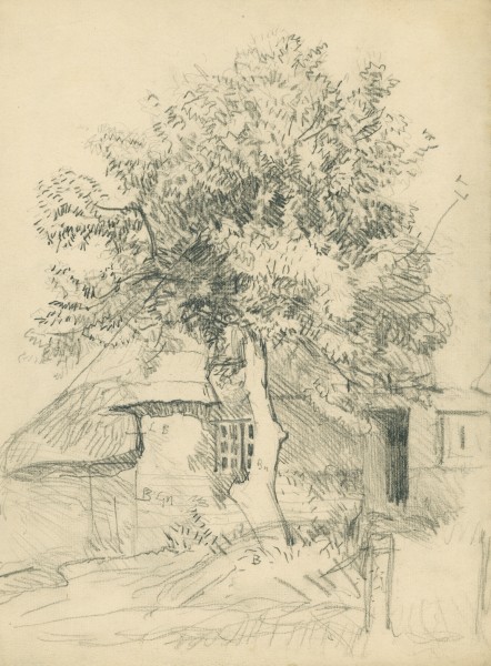 Study of a tree and #1960BF