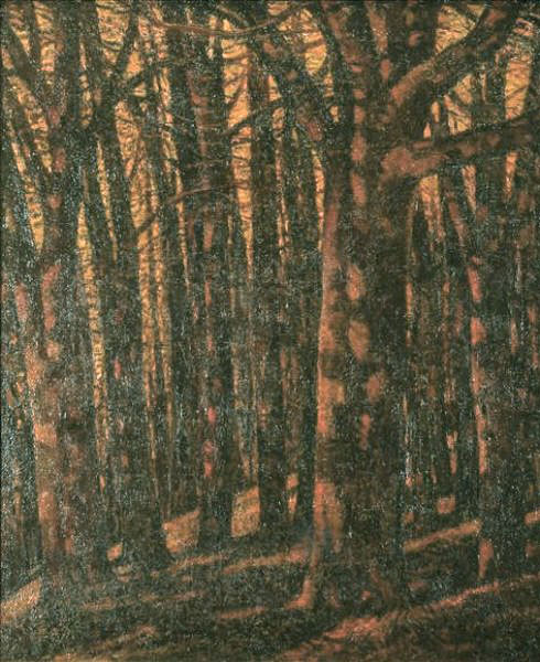 Forest Scene