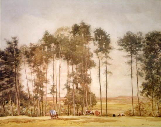 Summer Landscape