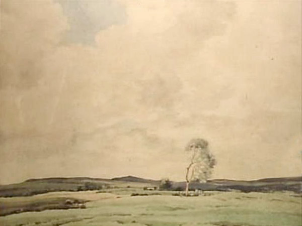 Upland Landscape