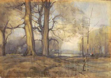 woods by a lake