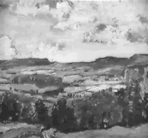 zAN EXTENSIVE LANDSCAPE
