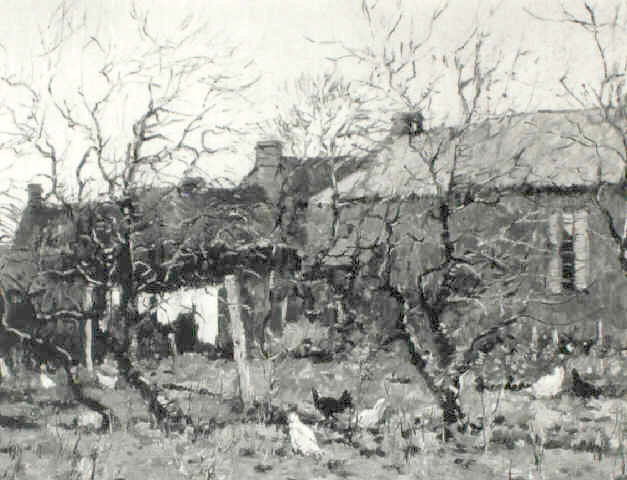 zThe back garden in winter