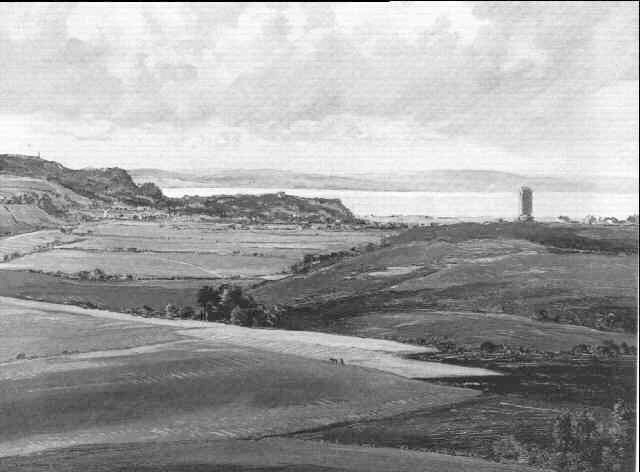 zWINCHELSEA