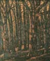 Forest Scene