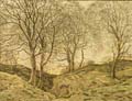 Landscape At Castle Bolton