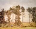 Summer Landscape