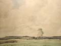 Upland Landscape
