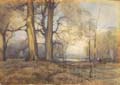 woods by a lake