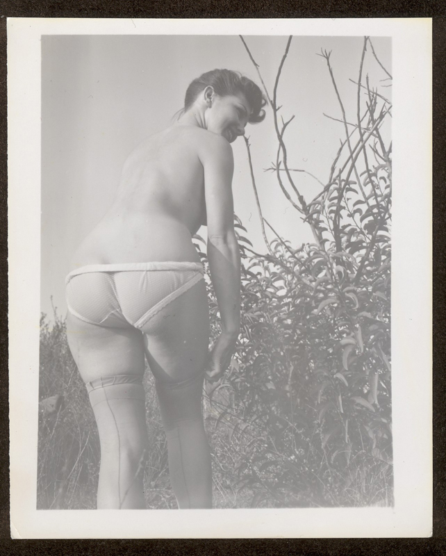 pinups1383
