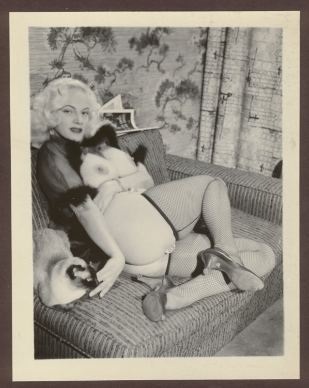 pinups1731