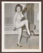 pinups1314